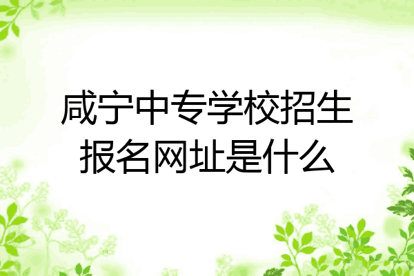 咸宁中专学校招生报名网址是什么