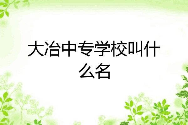 大冶中专学校叫什么名