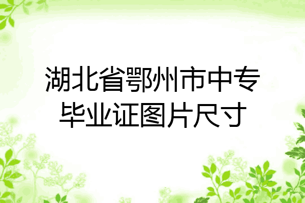 湖北省鄂州市中专毕业证图片尺寸
