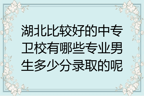 湖北比较好的中专卫校有哪些专业男生多少分录取的呢