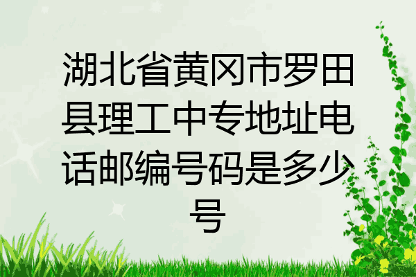 湖北省黄冈市罗田县理工中专地址电话邮编号码是多少号