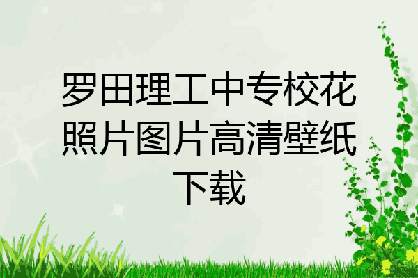 罗田理工中专校花照片图片高清壁纸下载