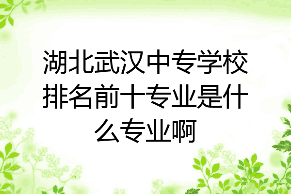 湖北武汉中专学校排名前十专业是什么专业啊
