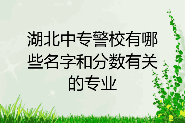 湖北中专警校有哪些名字和分数有关的专业