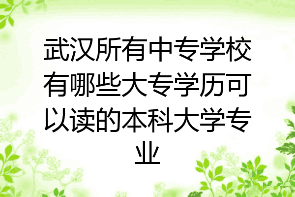 武汉所有中专学校有哪些大专学历可以读的本科大学专业