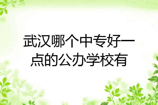 武汉哪个中专好一点的公办学校有