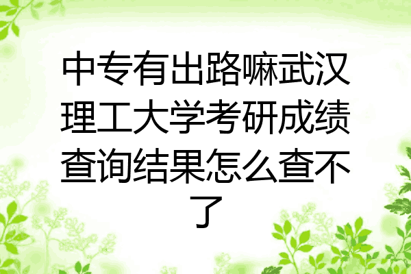 中专有出路嘛武汉理工大学考研成绩查询结果怎么查不了