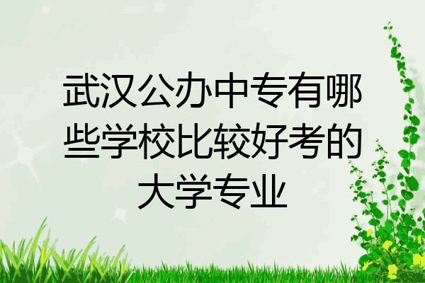 武汉公办中专有哪些学校比较好考的大学专业