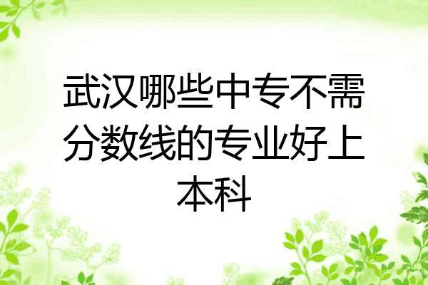 武汉哪些中专不需分数线的专业好上本科