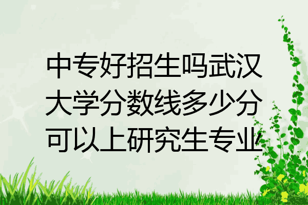 中专好招生吗武汉大学分数线多少分可以上研究生专业