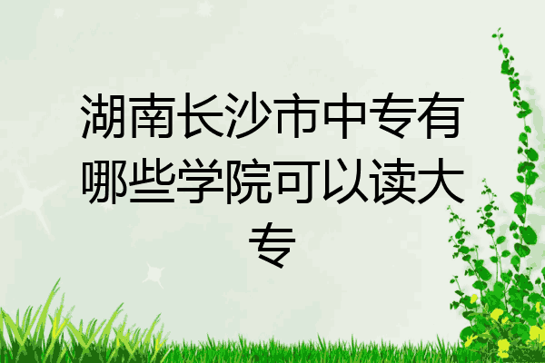 湖南长沙市中专有哪些学院可以读大专