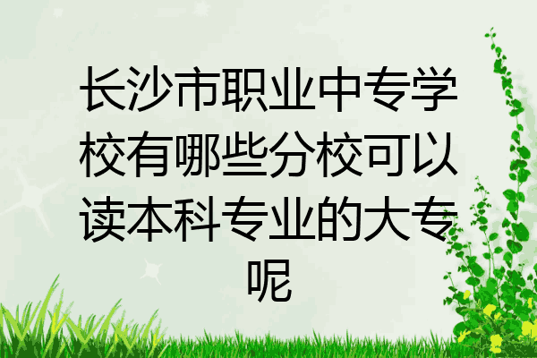 长沙市职业中专学校有哪些分校可以读本科专业的大专呢