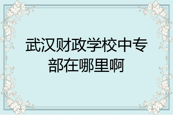 武汉财政学校中专部在哪里啊