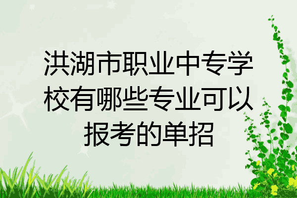 洪湖市职业中专学校有哪些专业可以报考的单招