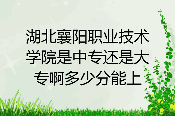 湖北襄阳职业技术学院是中专还是大专啊多少分能上