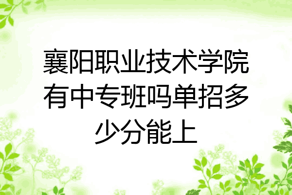 襄阳职业技术学院有中专班吗单招多少分能上