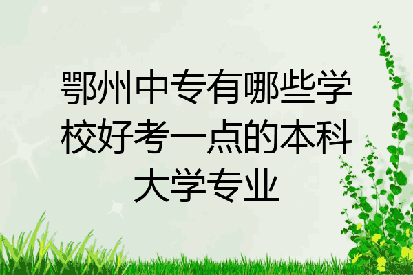 鄂州中专有哪些学校好考一点的本科大学专业