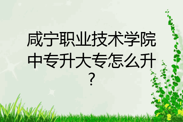 咸宁职业技术学院中专升大专怎么升?