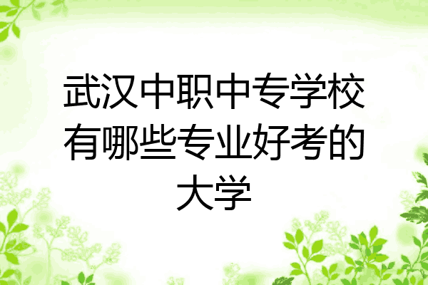 武汉中职中专学校有哪些专业好考的大学