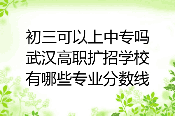 初三可以上中专吗武汉高职扩招学校有哪些专业分数线