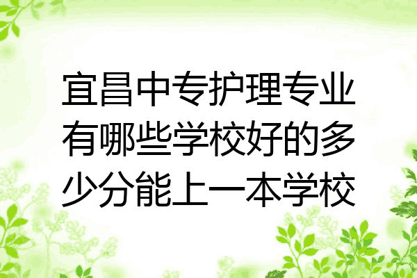 宜昌中专护理专业有哪些学校好的多少分能上一本学校