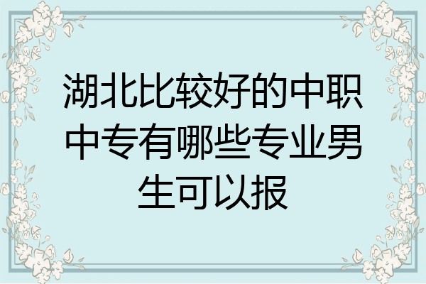 湖北比较好的中职中专有哪些专业男生可以报