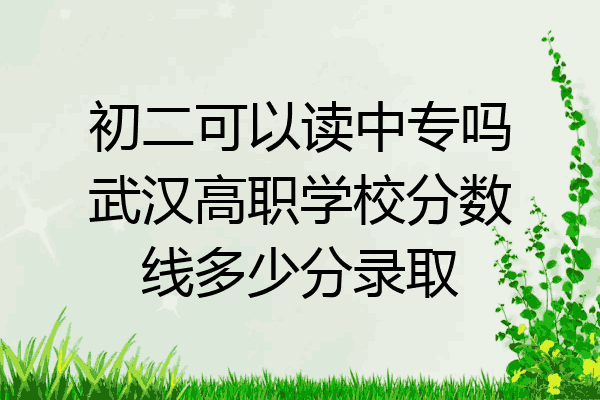 初二可以读中专吗武汉高职学校分数线多少分录取
