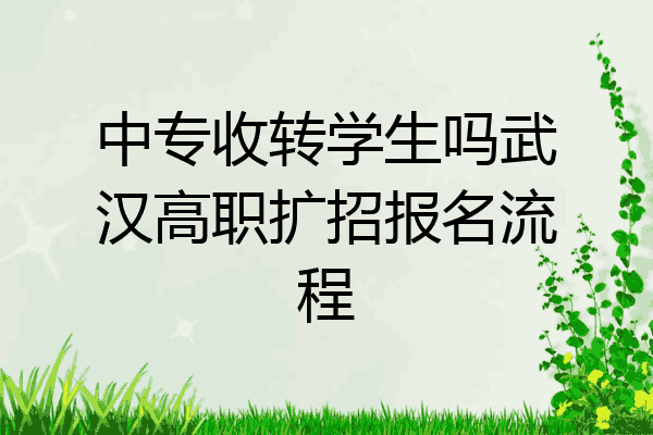 中专收转学生吗武汉高职扩招报名流程