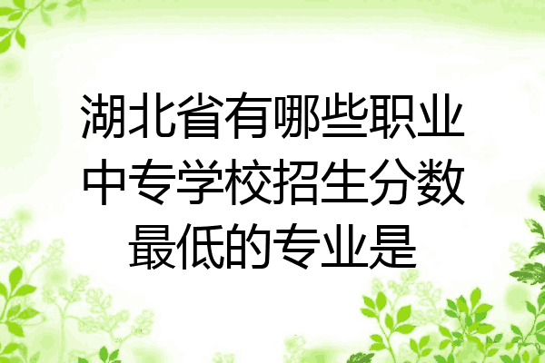 湖北省有哪些职业中专学校招生分数最低的专业是