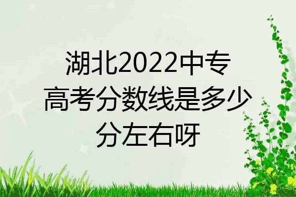 湖北2022中专高考分数线是多少分左右呀