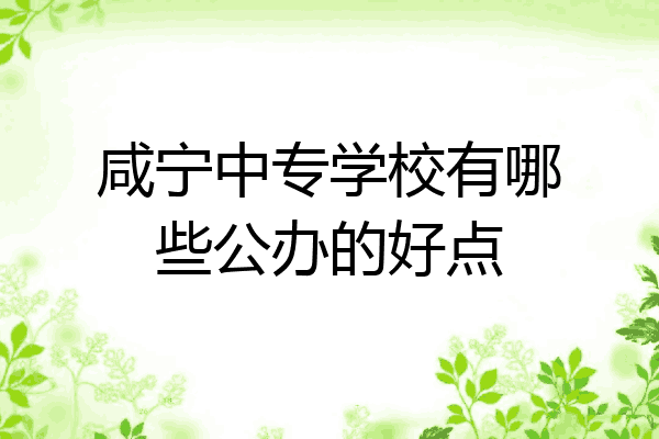 咸宁中专学校有哪些公办的好点