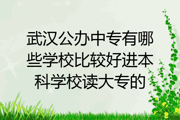武汉公办中专有哪些学校比较好进本科学校读大专的