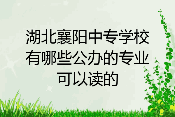 湖北襄阳中专学校有哪些公办的专业可以读的