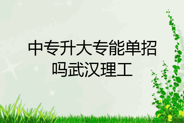中专升大专能单招吗武汉理工