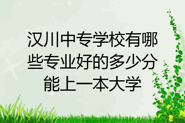 汉川中专学校有哪些专业好的多少分能上一本大学