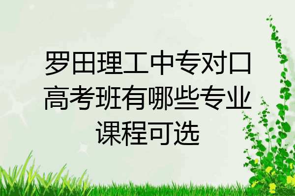 罗田理工中专对口高考班有哪些专业课程可选