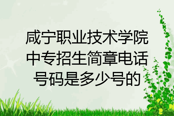 咸宁职业技术学院中专招生简章电话号码是多少号的
