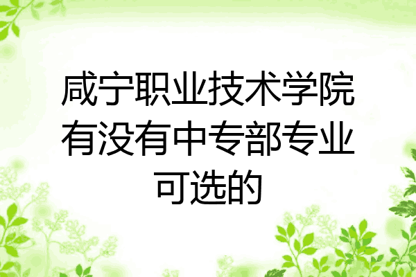 咸宁职业技术学院有没有中专部专业可选的