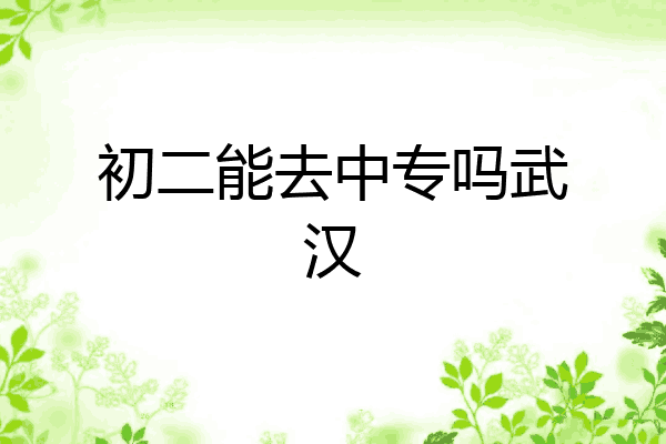 初二能去中专吗武汉