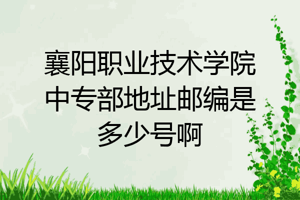 襄阳职业技术学院中专部地址邮编是多少号啊