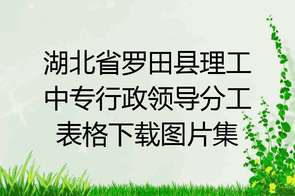 湖北省罗田县理工中专行政领导分工表格下载图片集