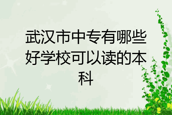 武汉市中专有哪些好学校可以读的本科