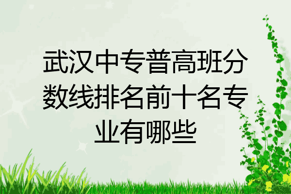 武汉中专普高班分数线排名前十名专业有哪些