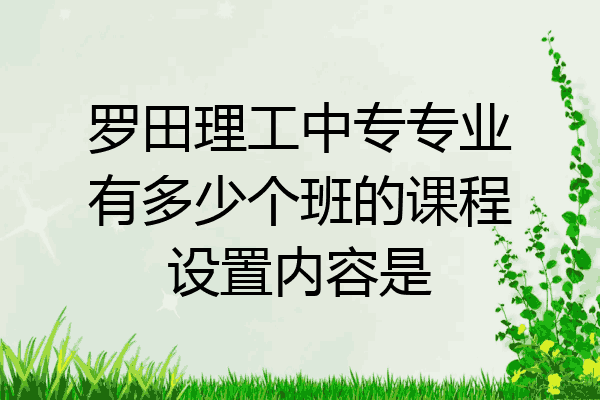 罗田理工中专专业有多少个班的课程设置内容是