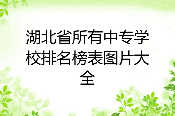 湖北省所有中专学校排名榜表图片大全