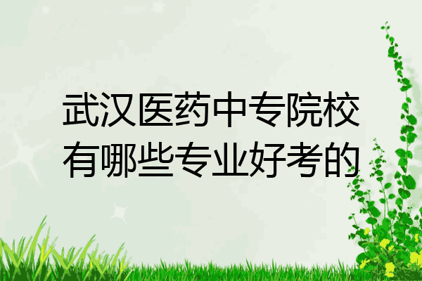 武汉医药中专院校有哪些专业好考的