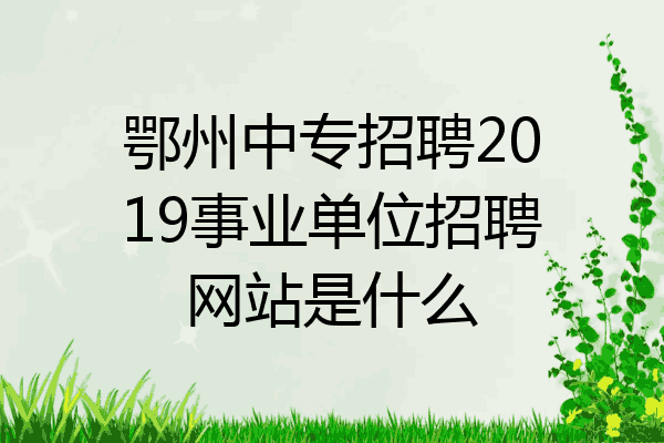 鄂州中专招聘2019事业单位招聘网站是什么
