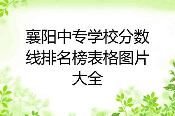 襄阳中专学校分数线排名榜表格图片大全