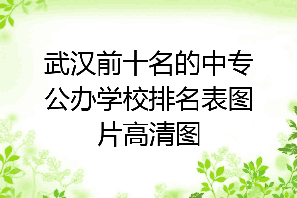 武汉前十名的中专公办学校排名表图片高清图