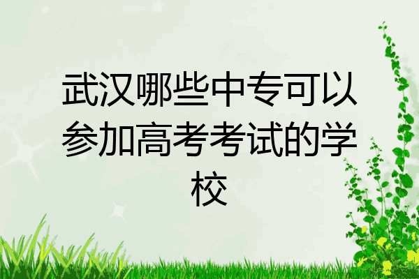 武汉哪些中专可以参加高考考试的学校